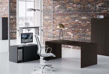 Кабинет руководителя MultipliCEO